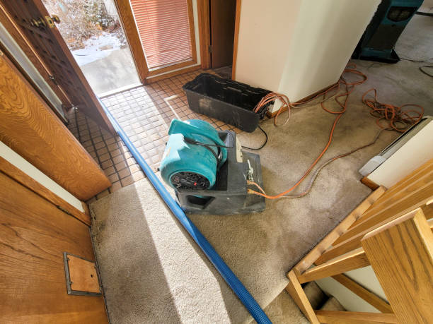 Best Water damage restoration near me  in Eastwood, LA