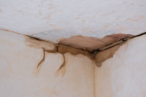 Best Water damage restoration near me  in Eastwood, LA