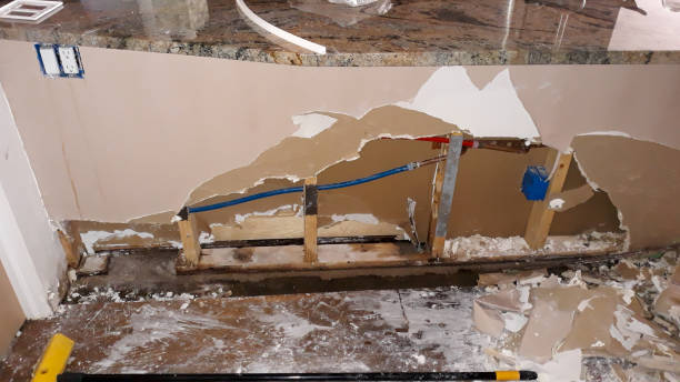 Best Water damage cleanup near me  in Eastwood, LA