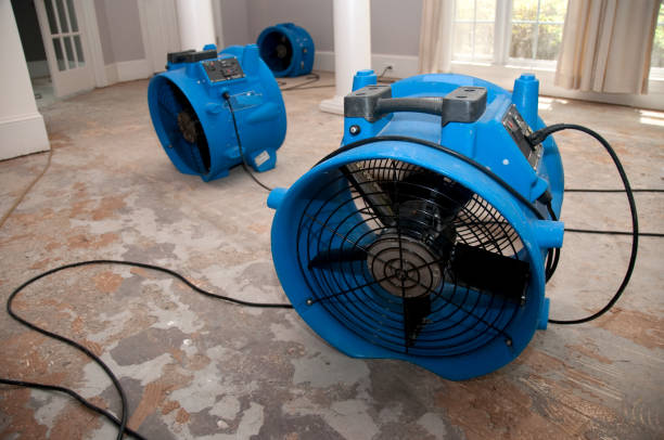 Best Local water damage restoration  in Eastwood, LA