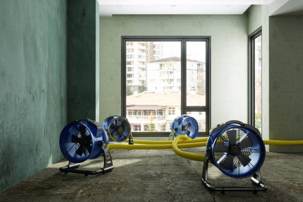 Best Residential water damage restoration  in Eastwood, LA