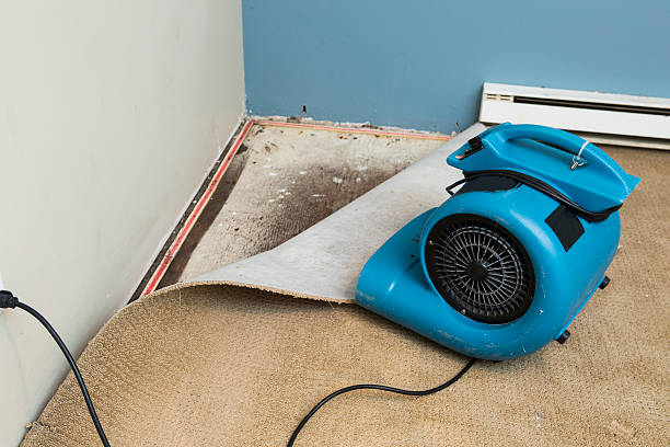 Best Commercial water damage restoration  in Eastwood, LA